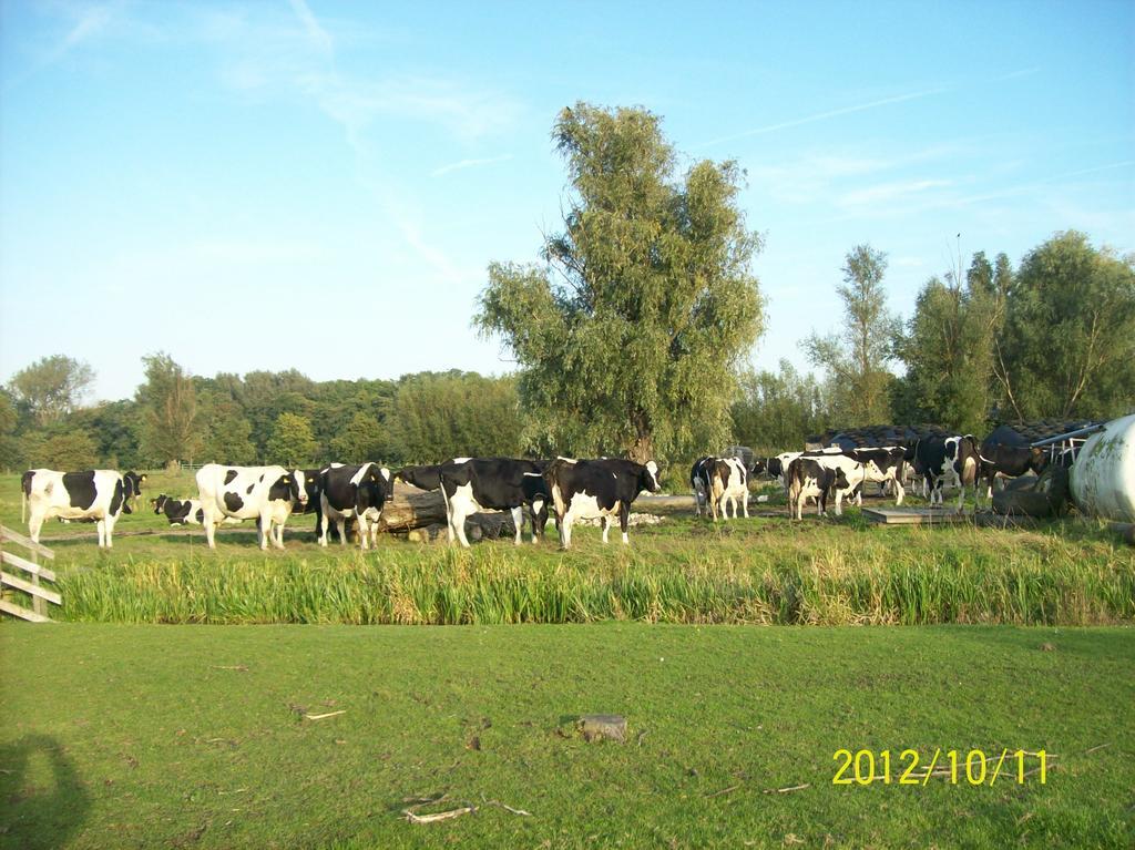 Bed and Breakfast Het Boenhok Logies Lekkerkerk Zewnętrze zdjęcie